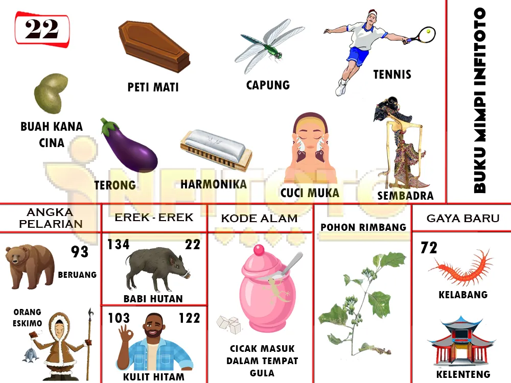 buku mimpi erek erek togel 22