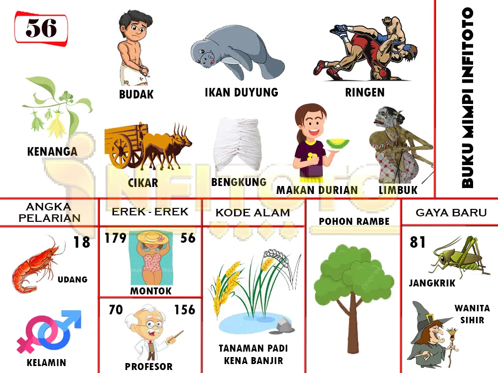 buku mimpi erek erek togel 56